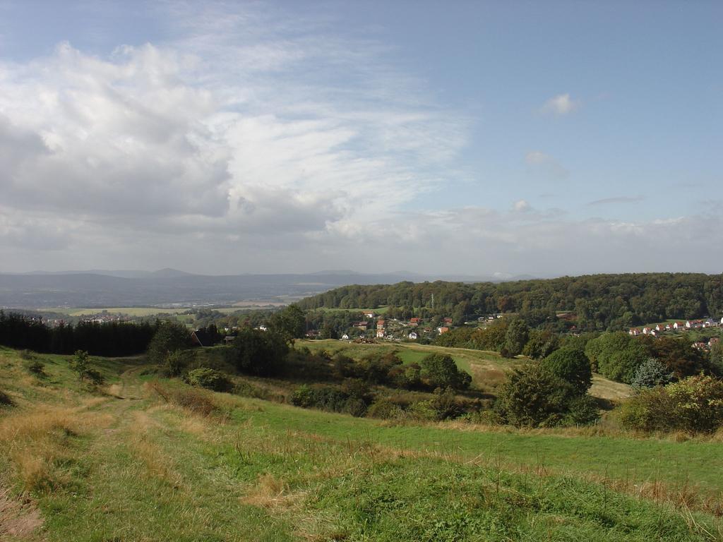 Lovely Holiday Home In The Thuringian Forest With Roof Terrace And Great View Bad Liebenstein Exterior foto